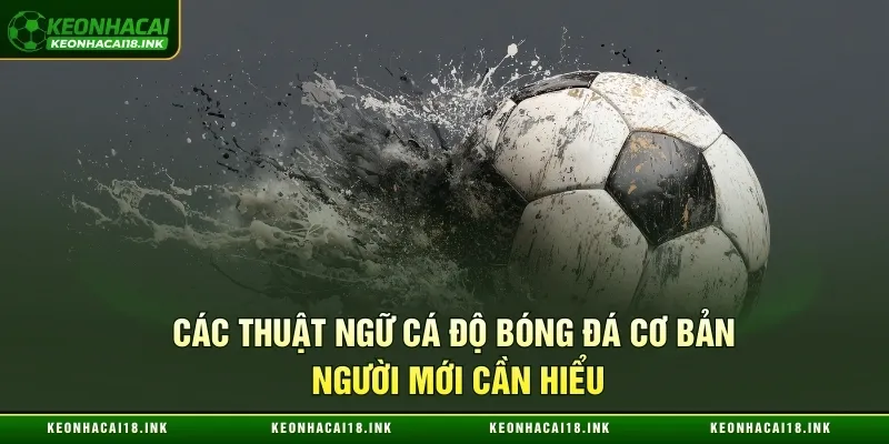 Các thuật ngữ cá độ bóng đá cơ bản người mới cần hiểu