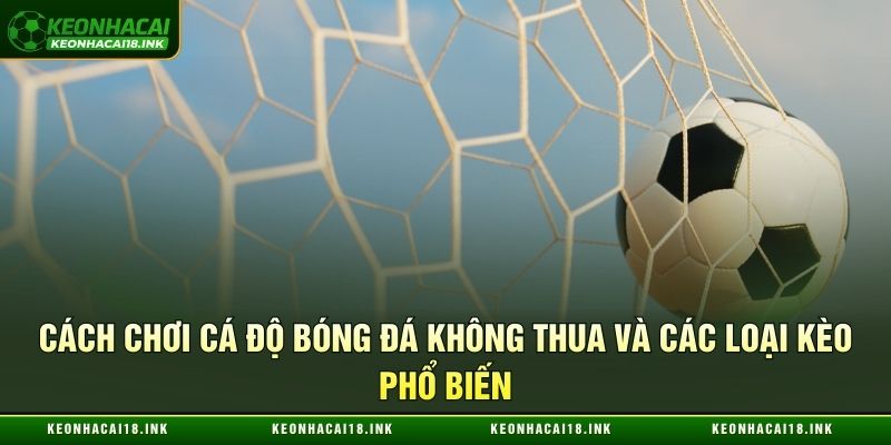 Cách chơi cá độ bóng đá không thua và các loại kèo phổ biến