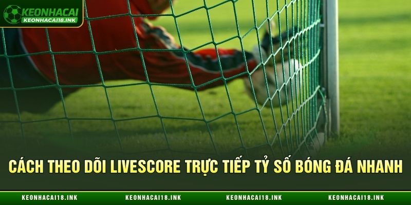 Cách theo dõi livescore trực tiếp tỷ số bóng đá nhanh