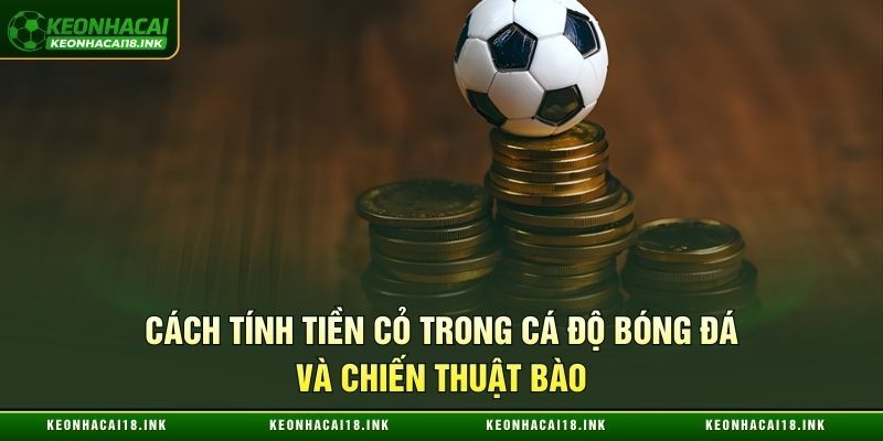 Cách tính tiền cỏ trong cá độ bóng đá và chiến thuật bào