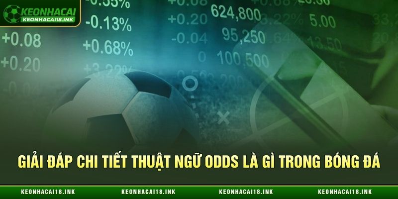 Giải đáp chi tiết thuật ngữ odds là gì trong bóng đá