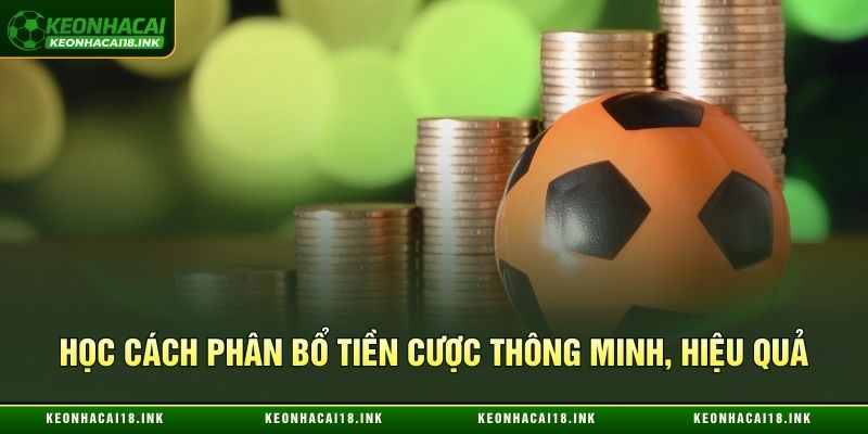Học cách phân bổ tiền cược thông minh, hiệu quả