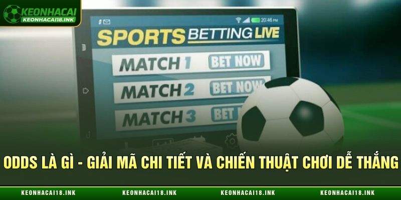Odds Là Gì - Giải Mã Chi Tiết Và Chiến Thuật Chơi Dễ Thắng
