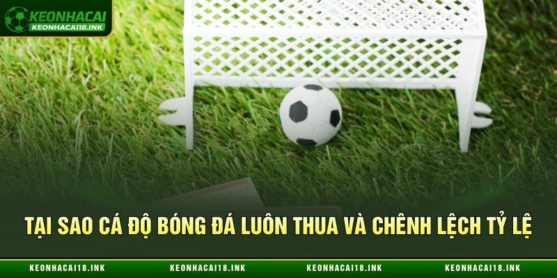 Tại sao cá độ bóng đá luôn thua và chênh lệch tỷ lệ