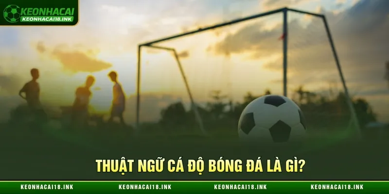 Thuật ngữ cá độ bóng đá là gì?